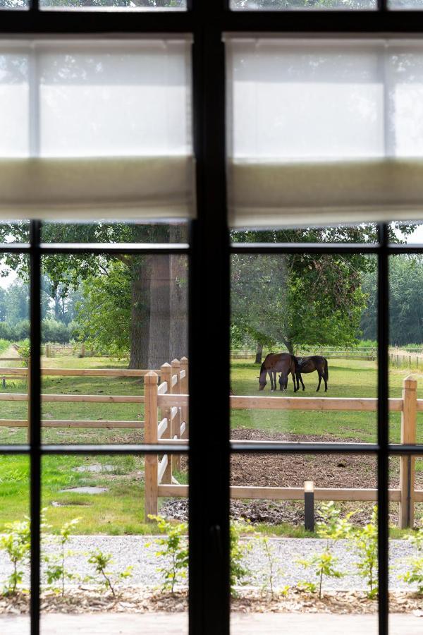 Haras De Barry Hotel Sainghin-en-Mélantois Buitenkant foto